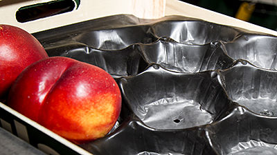 Plastic alveoli for fruit
