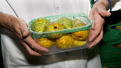 Covers woven mesh for horticultural baskets