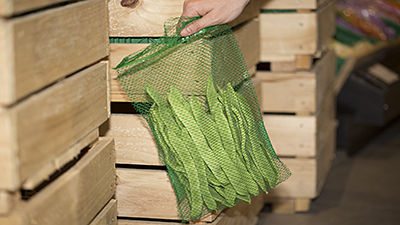 Extruded mesh sacks